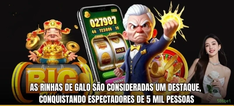 Interface Premium 586bet
